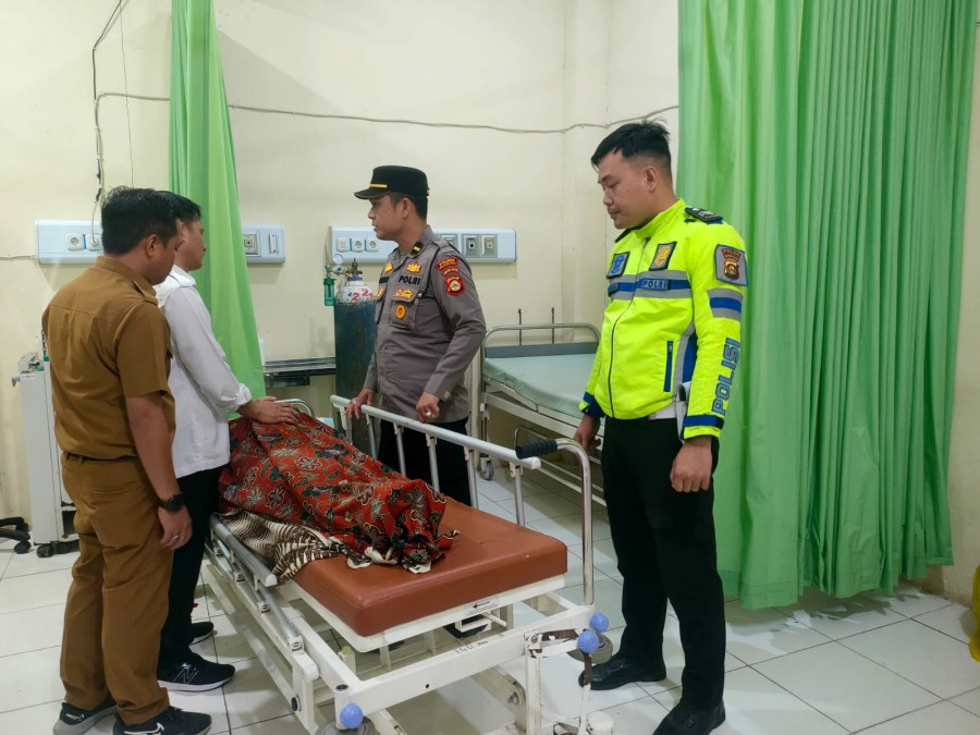 Kerbau Berkeliaran Di Jalinsum, Warga Muratara Meninggal Dunia