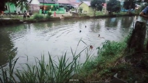 Siswa SMP IT Nuriska Ditemukan Tewas Tengelam Di Saluran Irigasi Siring Agung