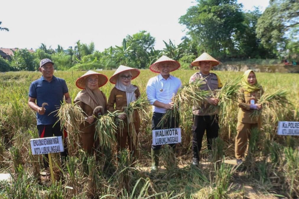 Dukung Program Swasembada Pangan, Wako Panen Raya Bersama Petani
