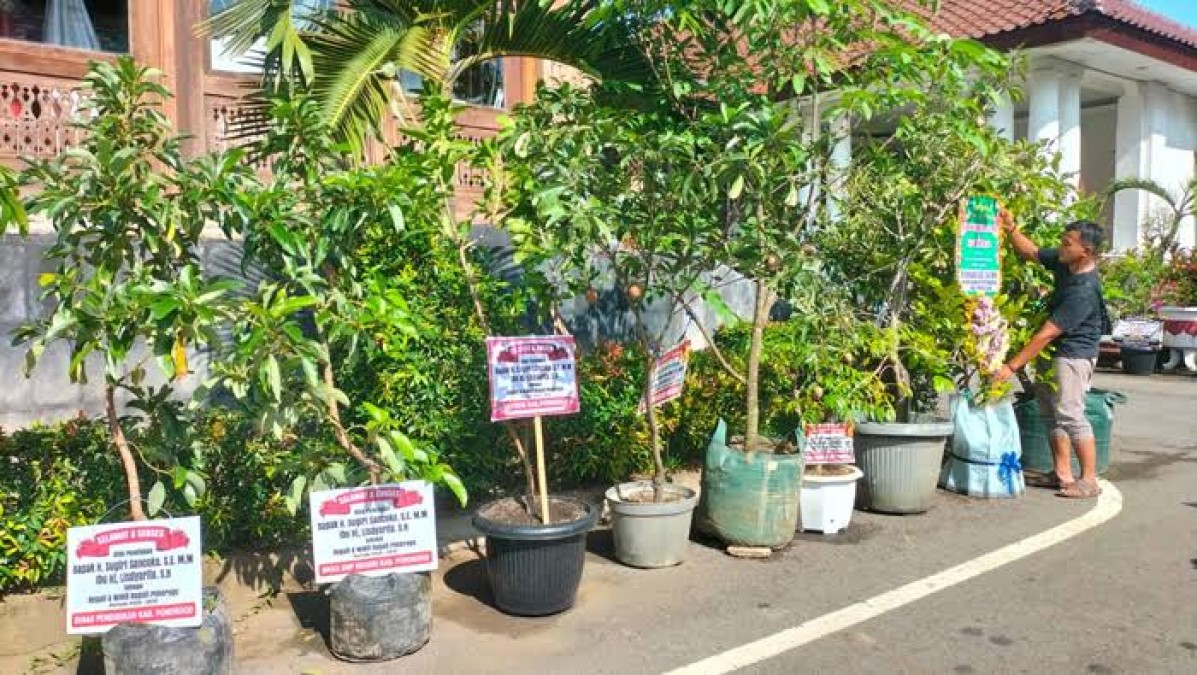 Inovasi Baru, NR Florist Linggau Sediakan Ucapan Lewat Bibit Tanaman Buah