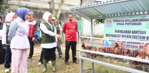 PKK Linggau Salurkan Bantuan Ayam Petelur Untuk Masyarakat Miskin Ekstrem