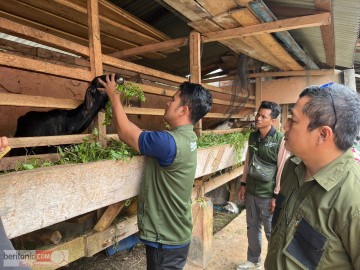 Cek Kesehatan Hewan Kurban Jelang Idul Adha, Dinas Pertanian Lubuklinggau Turunkan Tim